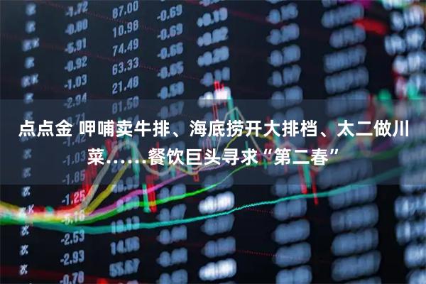 点点金 呷哺卖牛排、海底捞开大排档、太二做川菜……餐饮巨头寻求“第二春”