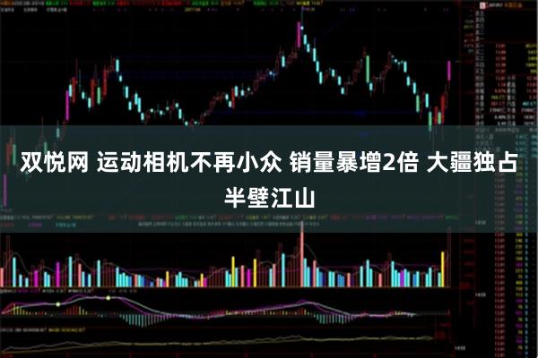 双悦网 运动相机不再小众 销量暴增2倍 大疆独占半壁江山