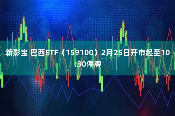 新影宝 巴西ETF（159100）2月25日开市起至10:30停牌